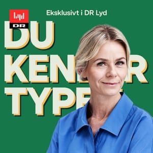 Du kender typen