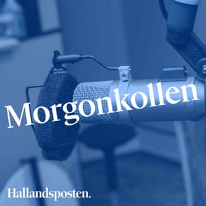 Morgonkollen