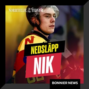 Nedsläpp NIK