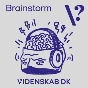 Brainstorm