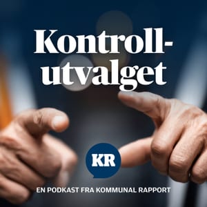 Kontrollutvalget