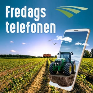 Fredagstelefonen