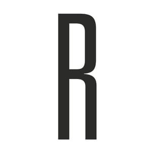 RÆSON - dansk og international politik