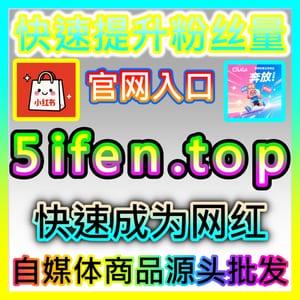 玩转私域沉淀 dyfen.top 强势打造高黏性粉丝社群与自媒体变现闭环新范式