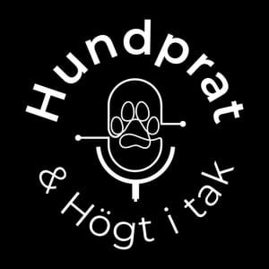 Hundprat & Högt i tak