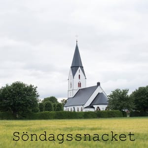 Söndagssnacket