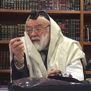 Shiurim familia Perets
