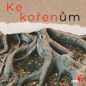 Ke kořenům