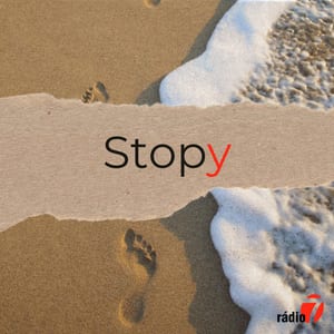 Stopy