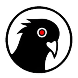 Black Pigeon Speaks on Odysee