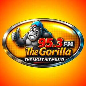 95.3 Gorilla